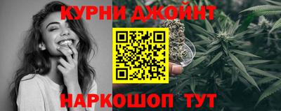 шишки Тара