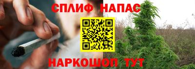 прущие грибы Татарск