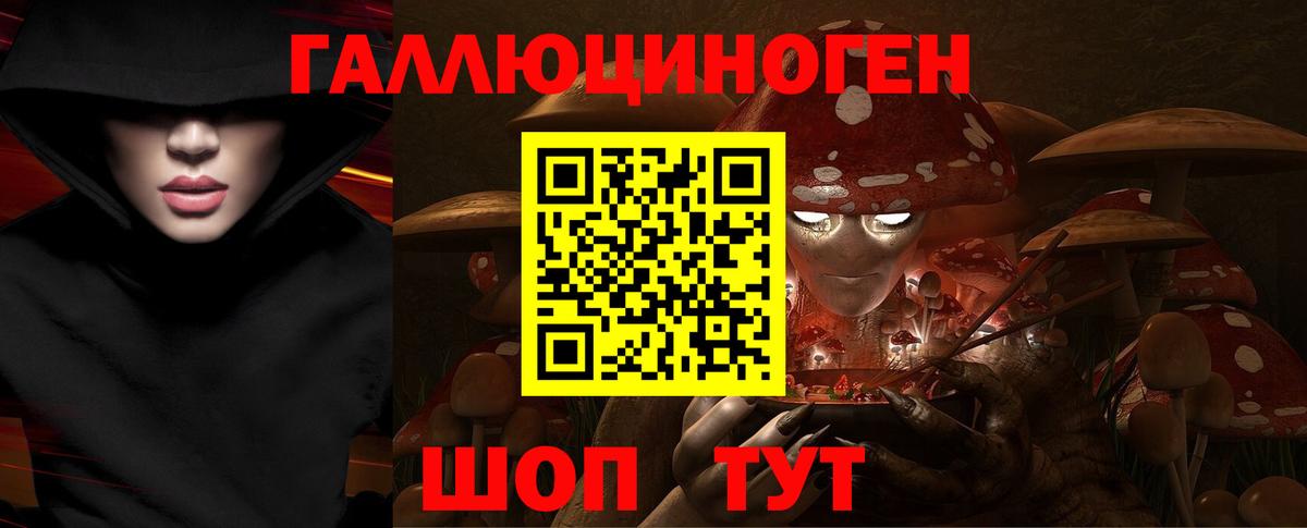 Галлюциногенные грибы Psilocybine cubensis Орехово-Зуево